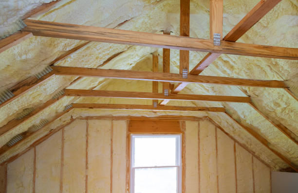 Best Insulation for New Construction  in Danvle, IL