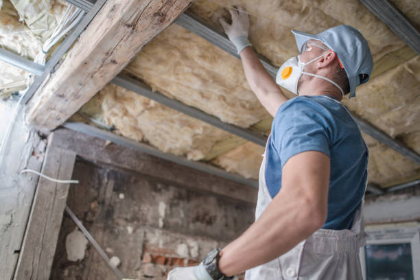 Best Spray Foam Insulation  in Danvle, IL