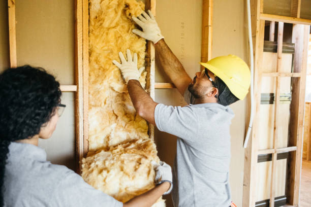 Best Garage Insulation Installation  in Danvle, IL