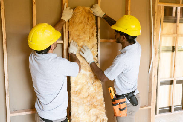 Best Spray Foam Insulation  in Danvle, IL