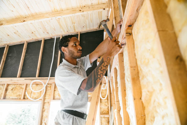 Professional Insulation Contractor in Danville, IL