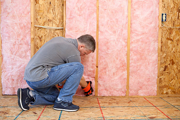 Best Residential Insulation Services  in Danvle, IL