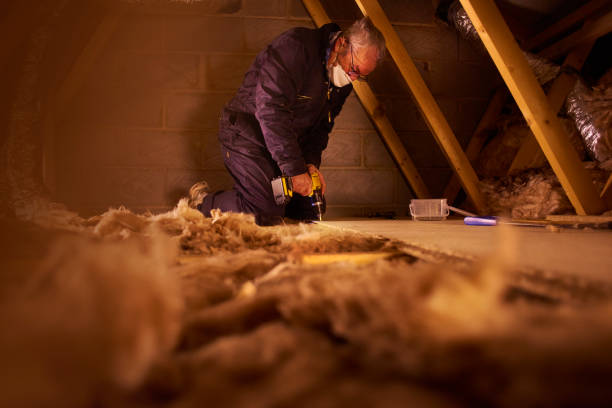 Best Cellulose Insulation  in Danvle, IL