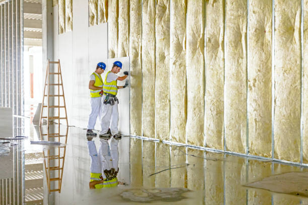 Best Energy-efficient Insulation  in Danvle, IL